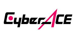 広告会社ならではの視点でLPO支援、CVR200%改善も